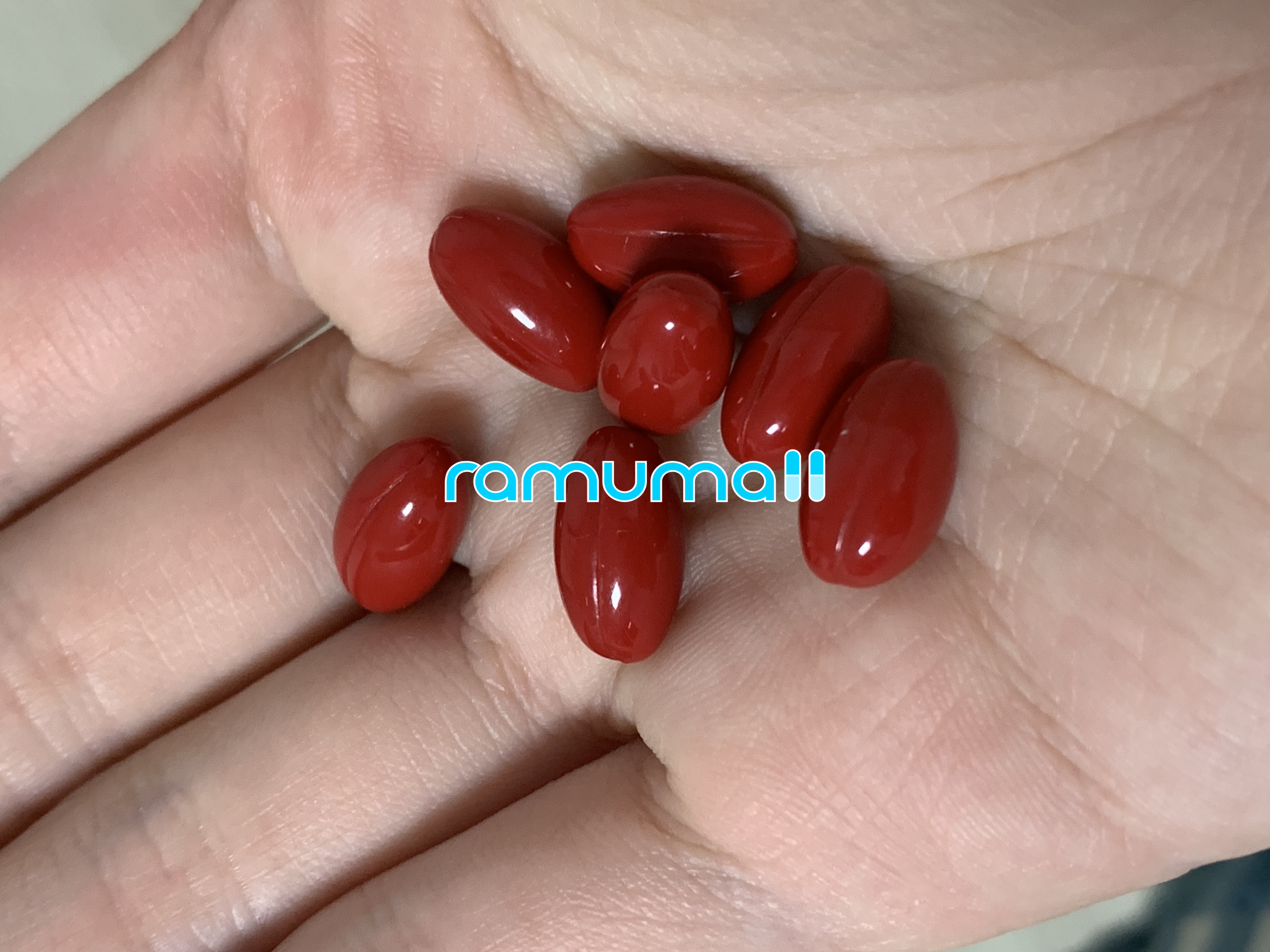 이소티논 이소트레놈10mg 직구 후기