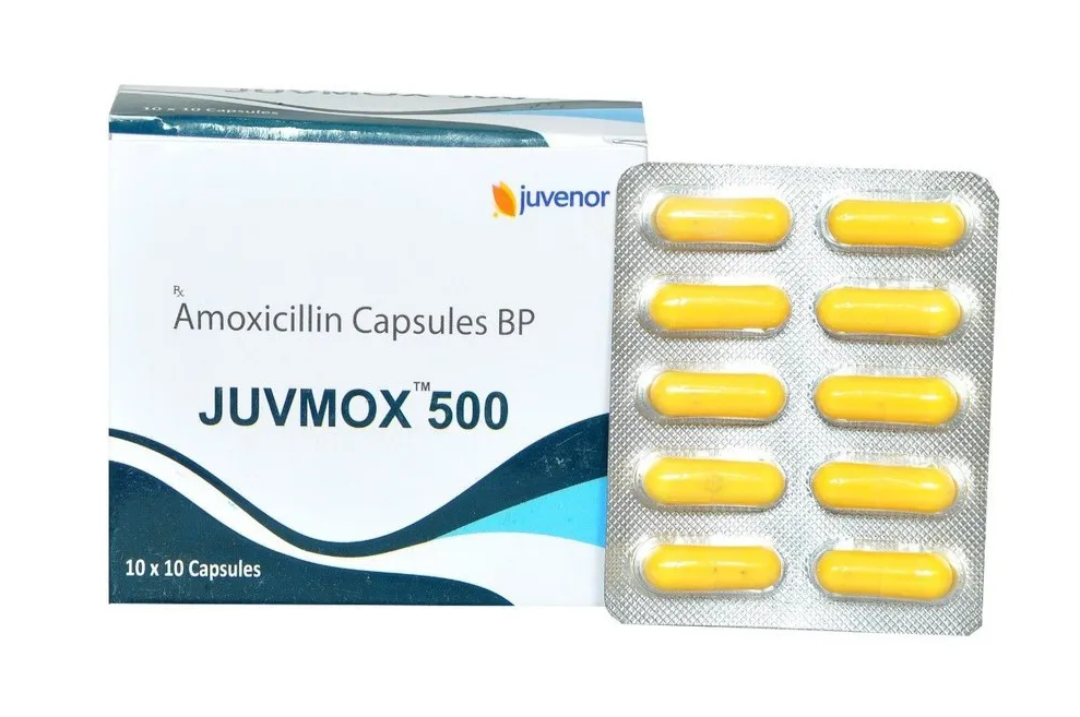 주브목스 JUVMOX 500mg