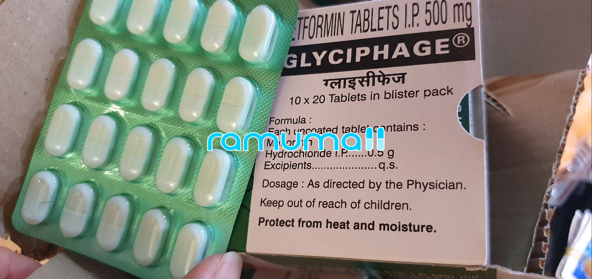 메트포르민 글리시파지 500mg metformin 직구 후기
