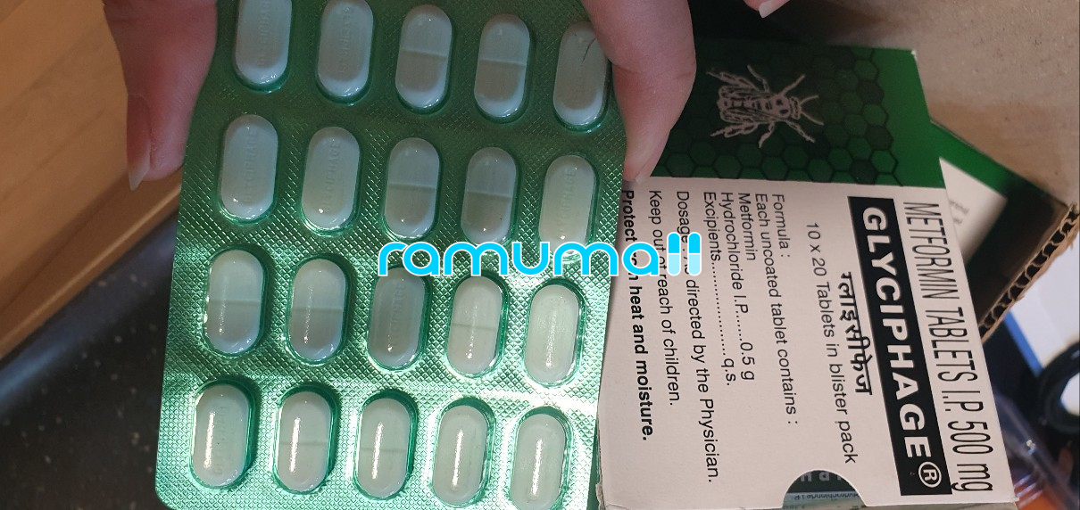 메트포르민 글리시파지 500mg metformin 직구 후기