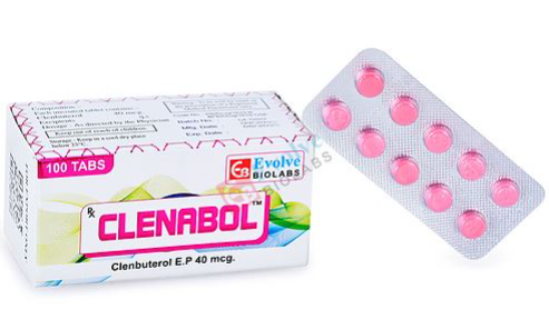 클레나볼 ( 클렌부테롤 Clenbuterol 40mcg )