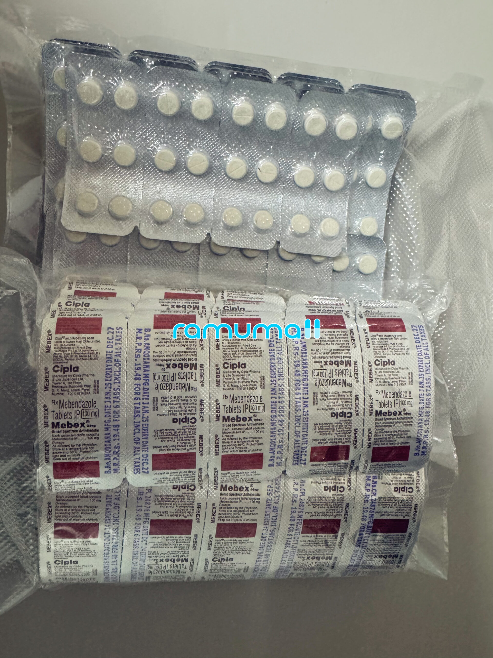 메벤다졸 메벡스 100mg 직구 후기